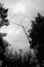 DL5AWI Image